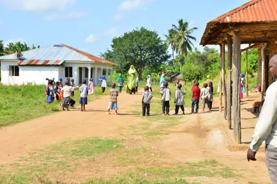 DSC_5306 (Large).JPG